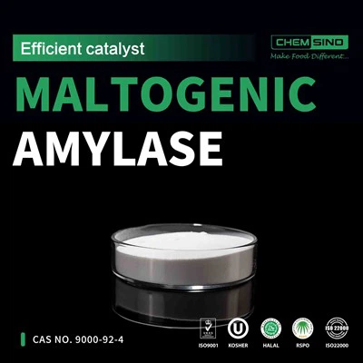 Toidukvaliteediga maltogeenne amülaas küpsetamisel