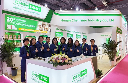 CHEMSINO team CHEMSINO team