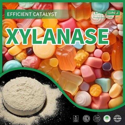 CAS 9025-57-4: Avastage Enzyme Marvel – ksülanaas on vallandatud!